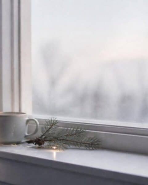 Taza y una rama de pino en el borde de una ventana en un día nublado de diciembre